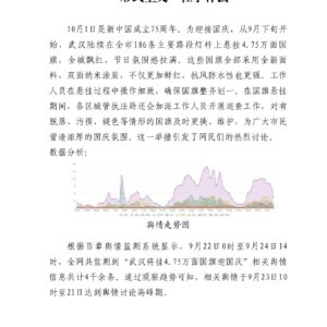 武汉挂4.75万面国旗引热议，爱国主义与“形式主义”在争什么
