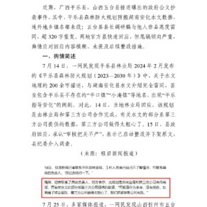 公文抄袭事件:官方甩锅背后藏多少漏洞?