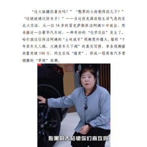 十年卖车无人晓,大姨卖车天下闻!“土味说车”为何能撬动千万流量?