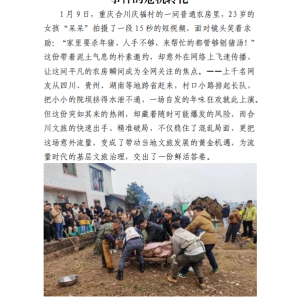 从舆情风险到文旅红利:呆呆“万人领筷”事件的危机转化